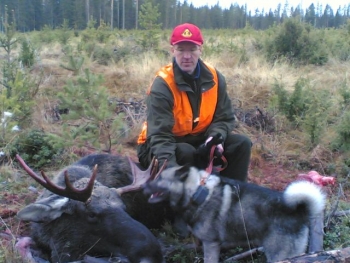 Hirvijahti 2009.jpg