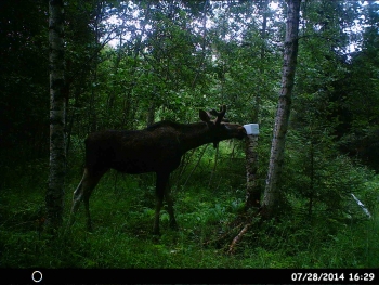 HUNT0070.JPG