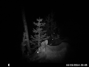 HUNT0076.JPG