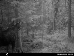 HUNT0010.JPG