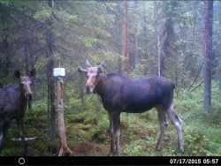 HUNT0032.JPG