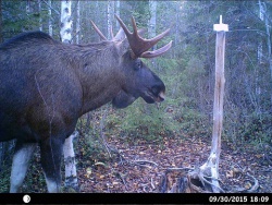 HUNT0008.JPG