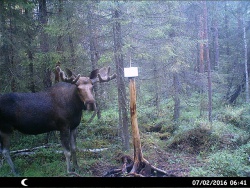 HUNT0042.JPG