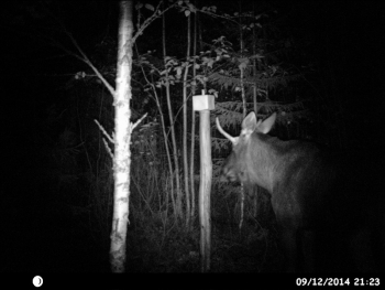 HUNT0197.JPG