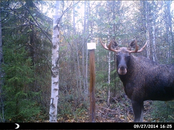 HUNT0210.JPG