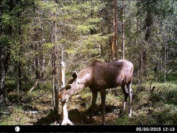HUNT0011.JPG
