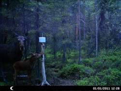 HUNT0044.JPG