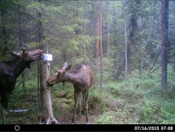HUNT0027.JPG